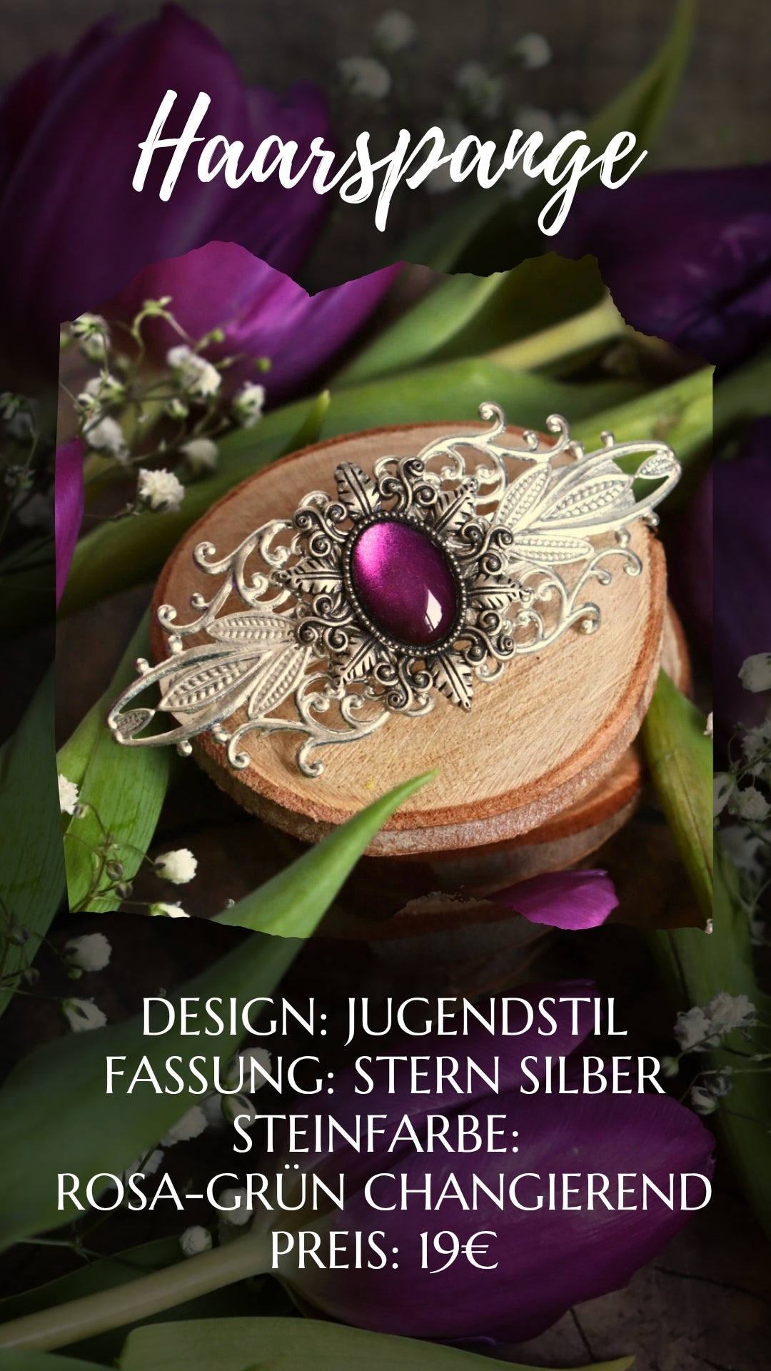 Für Kiwivogel Sunny