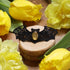 Fledermaus Schmuck aus Spitze mit Farbstein