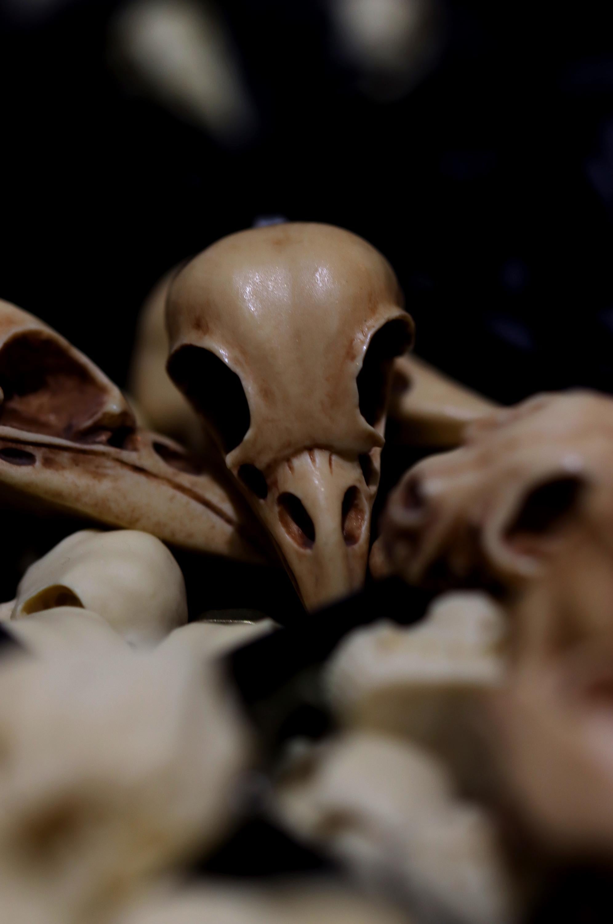 Rabenschädel Kette, Anhänger Vogelschädel aus Harz als Mittelalter Schmuck, Gothic Schmuck für Dark Academia Outfit, Tier Schädel Anhänger -Pendants- BloodyBrilliants