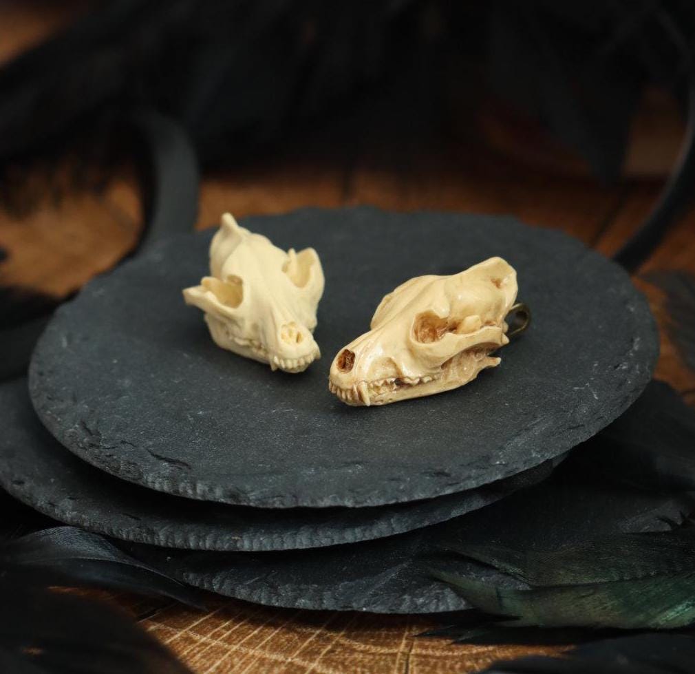 Anhänger Wolf Schädel aus Harz elfenbein farben für Gothic Outfit als LARP Schmuck und Cosplay Accessoire -Pendants- BloodyBrilliants