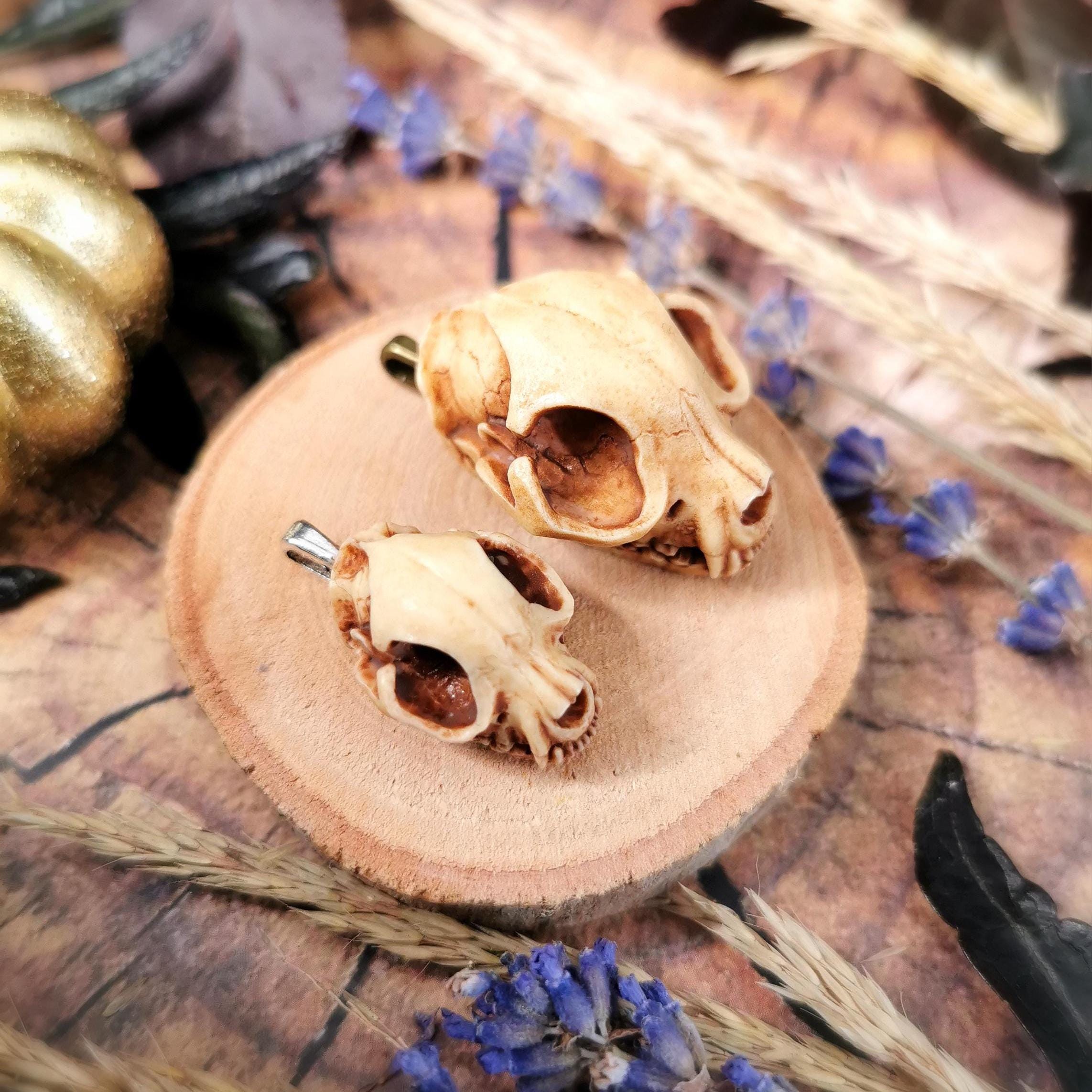 Katzen Schädel Anhänger aus Harz, Katzenschädel Kette als Mittelalter Schmuck, Gothic Schmuck für Dark Academia Outfit, Knochen Schmuck -Pendants- BloodyBrilliants