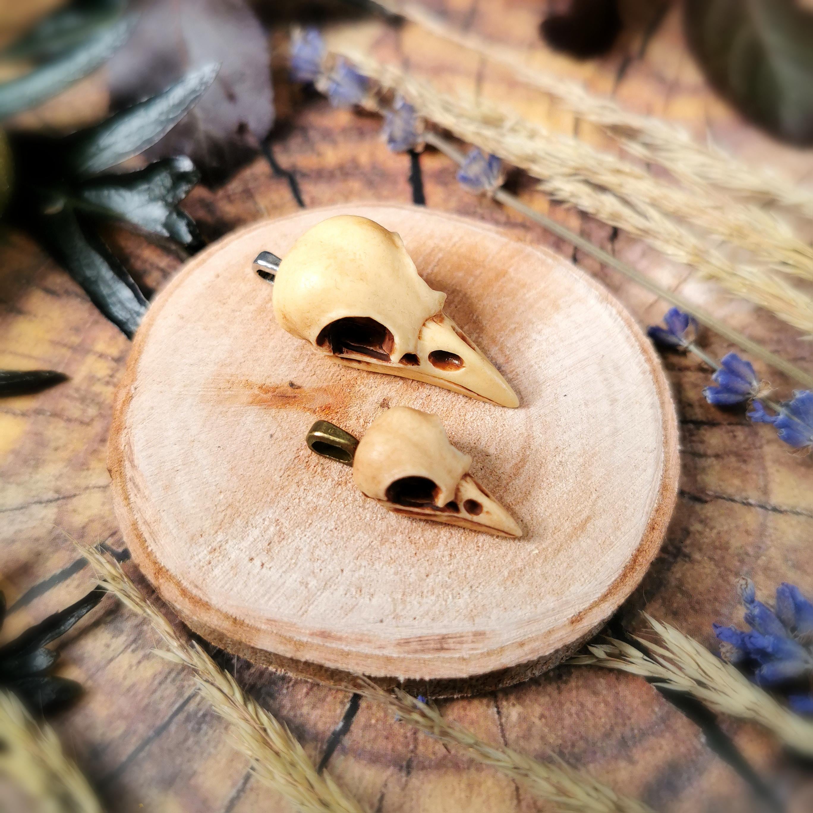 Rabenschädel Kette, Anhänger Vogelschädel aus Harz als Mittelalter Schmuck, Gothic Schmuck für Dark Academia Outfit, Tier Schädel Anhänger -Pendants- BloodyBrilliants