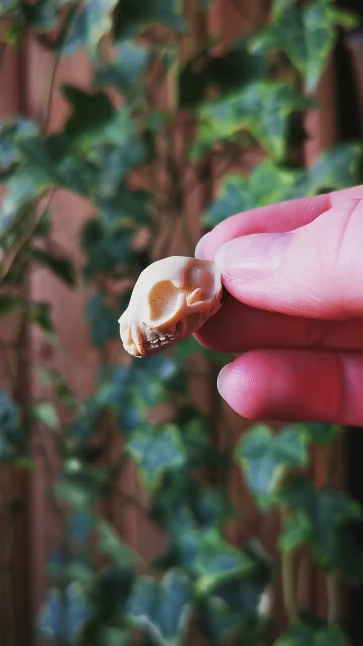 Katzen Schädel Anhänger aus Harz, Katzenschädel Kette als Mittelalter Schmuck, Gothic Schmuck für Dark Academia Outfit, Knochen Schmuck