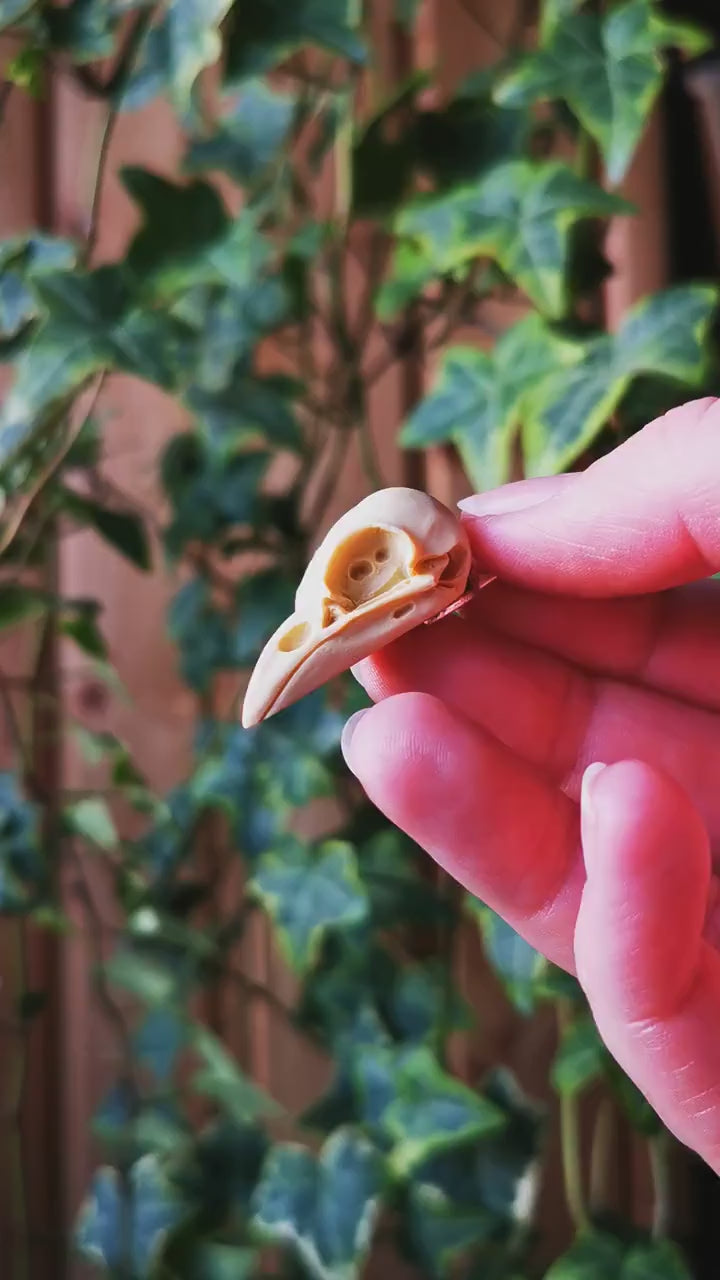 Rabenschädel Kette, Anhänger Vogelschädel aus Harz als Mittelalter Schmuck, Gothic Schmuck für Dark Academia Outfit, Tier Schädel Anhänger