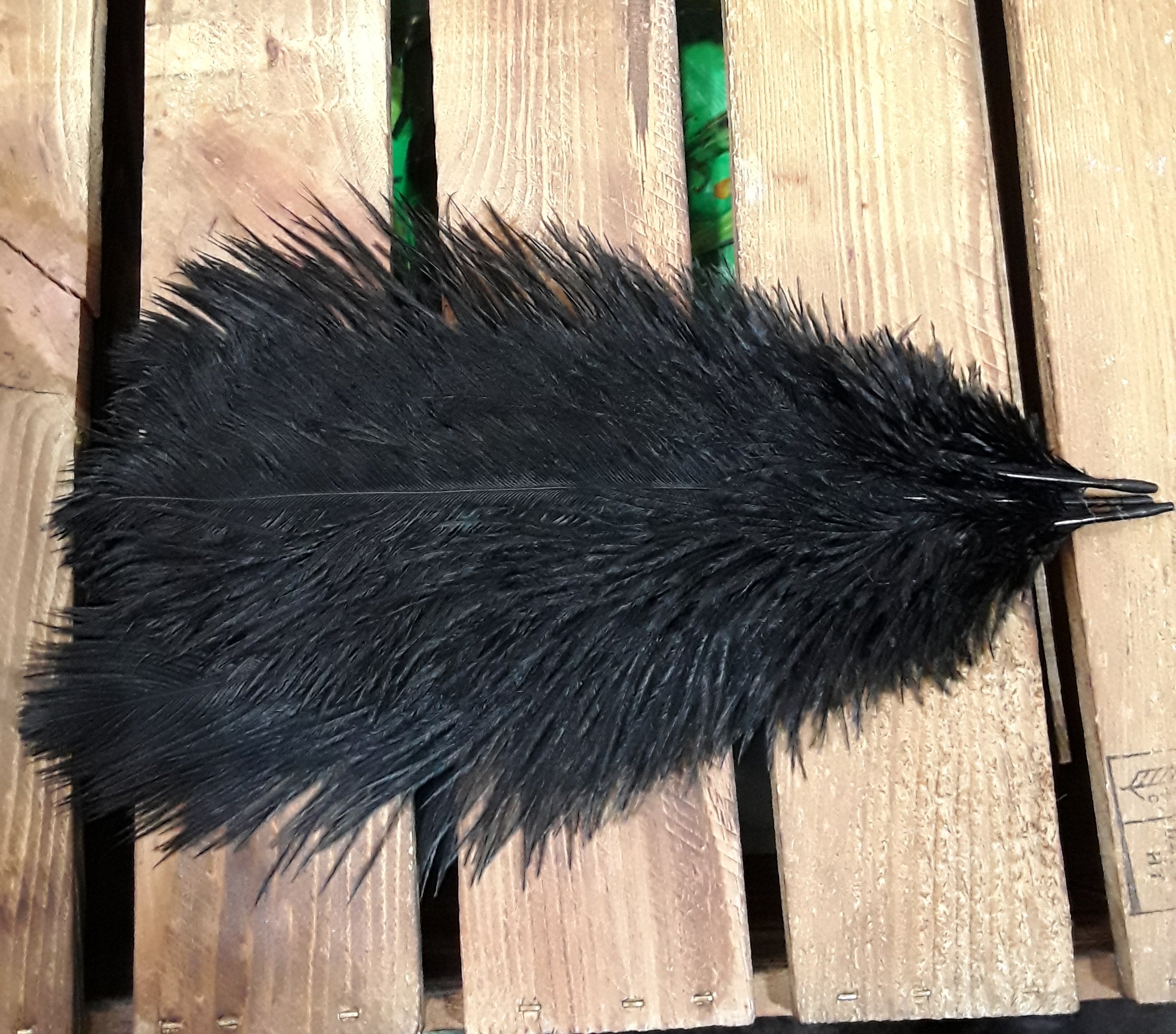 Hutfeder schwarz groß Hahn
